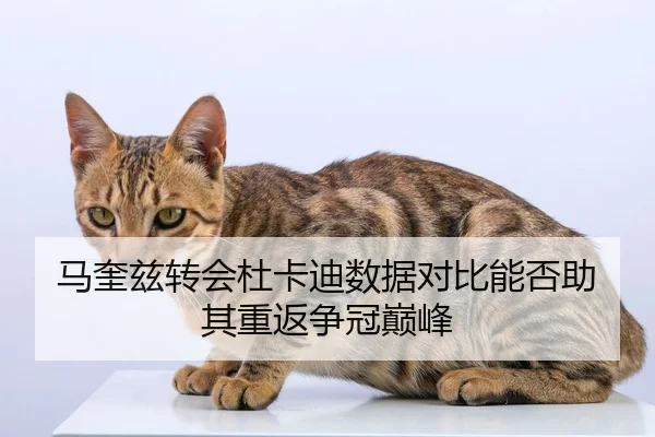 马奎兹转会杜卡迪数据对比能否助其重返争冠巅峰